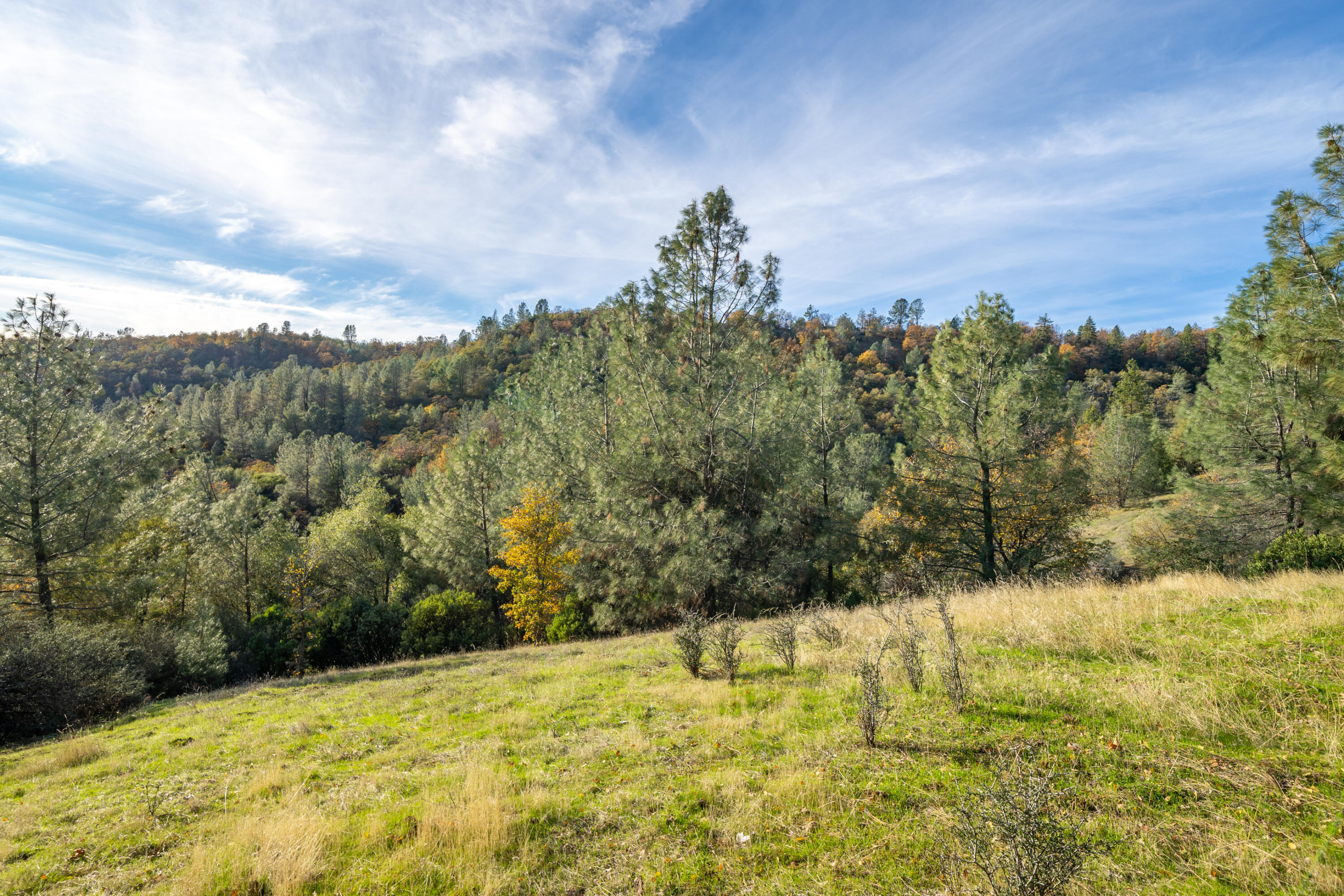 21-acres Estep Ridge Road Oak Run, CA 96069 - Photo 19 of 37 APN 097-320-002-17