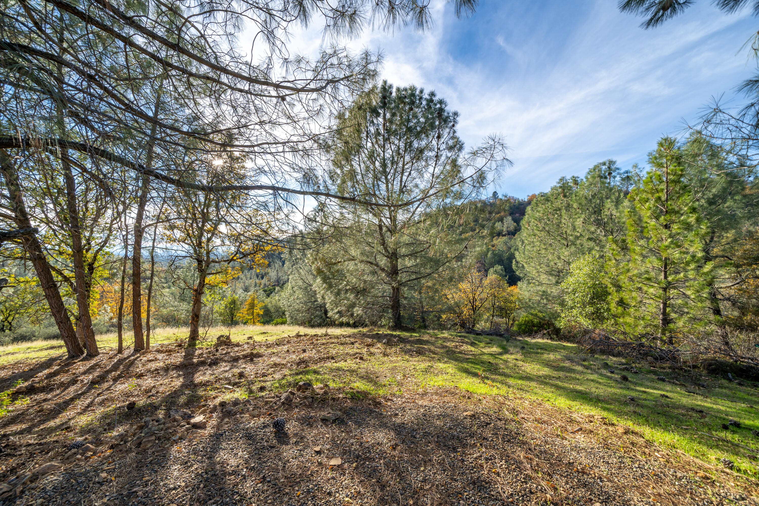 21-acres Estep Ridge Road Oak Run, CA 96069 - Photo 23 of 37 APN 097-320-002-25