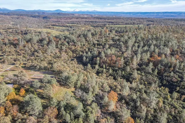 $90,000 | 21-acres Estep Ridge Road, Oak Run, CA 96069