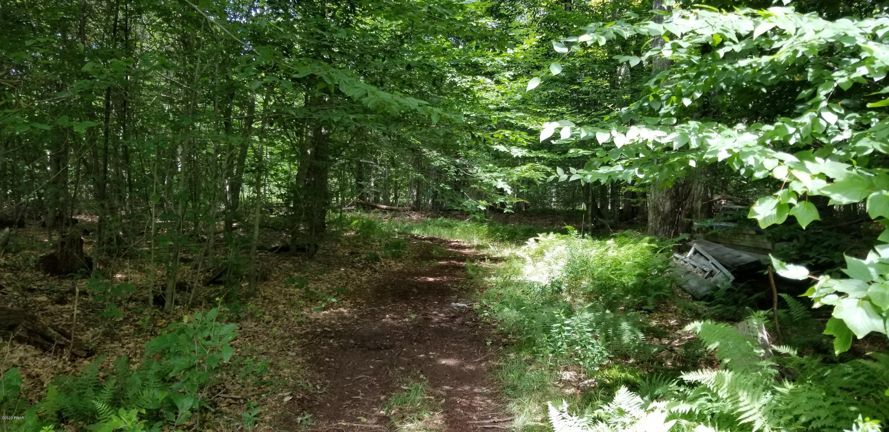 639 Ravnikar Road Forest City, PA 18421 - Photo 2 of 2