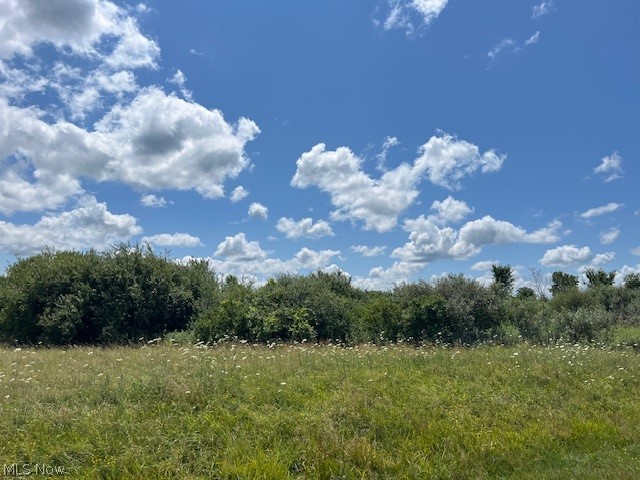 681 Co Road Sullivan, OH 44880 - Photo 1 of 5 View of local wilderness
