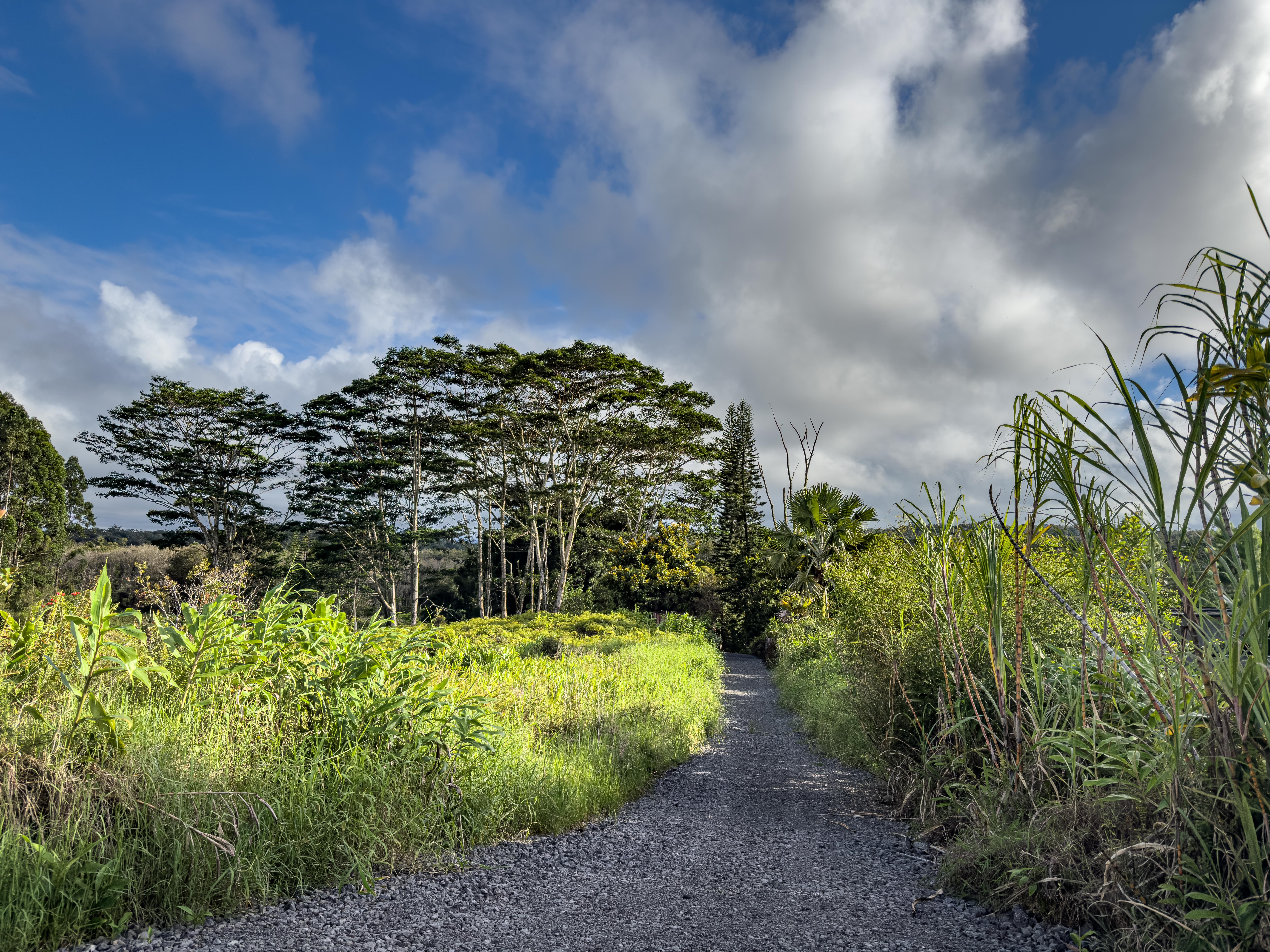 2 Kaiwiki Road Hilo, HI 96720 - Photo 1 of 6