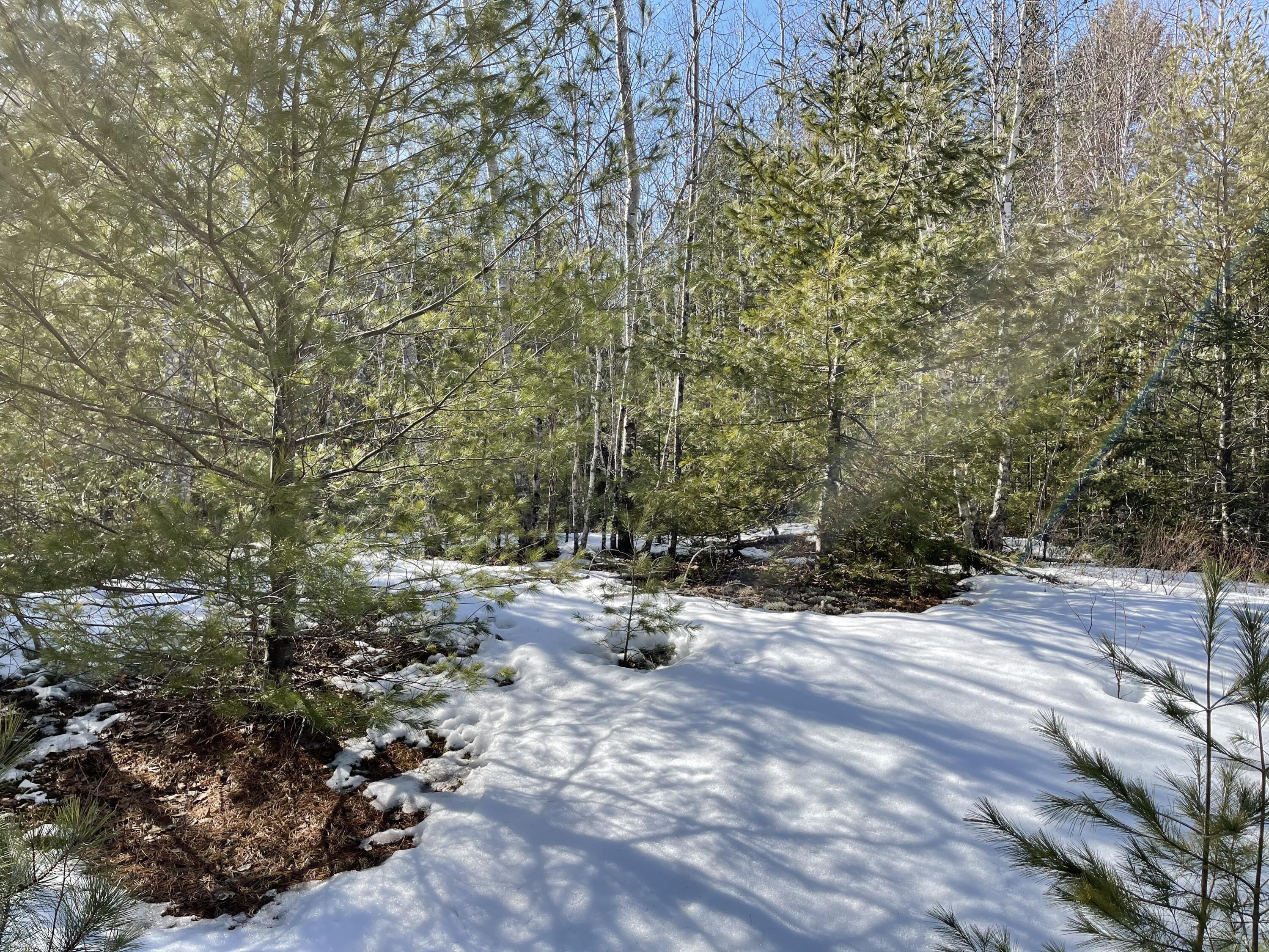 63-64 Kettle Ridge Northfield, ME 04654 - Photo 6 of 19 IMG-0817