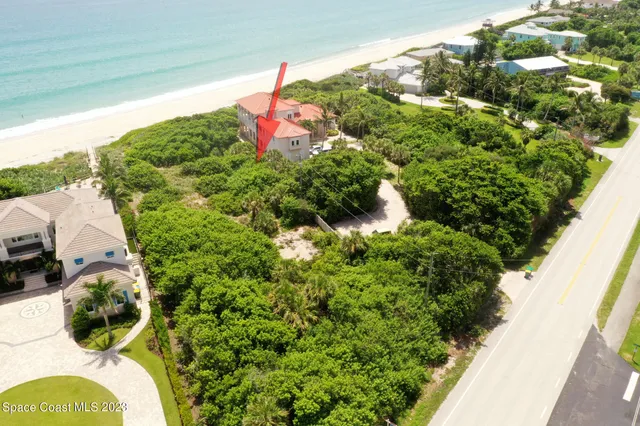 a close up of a plant in a garden