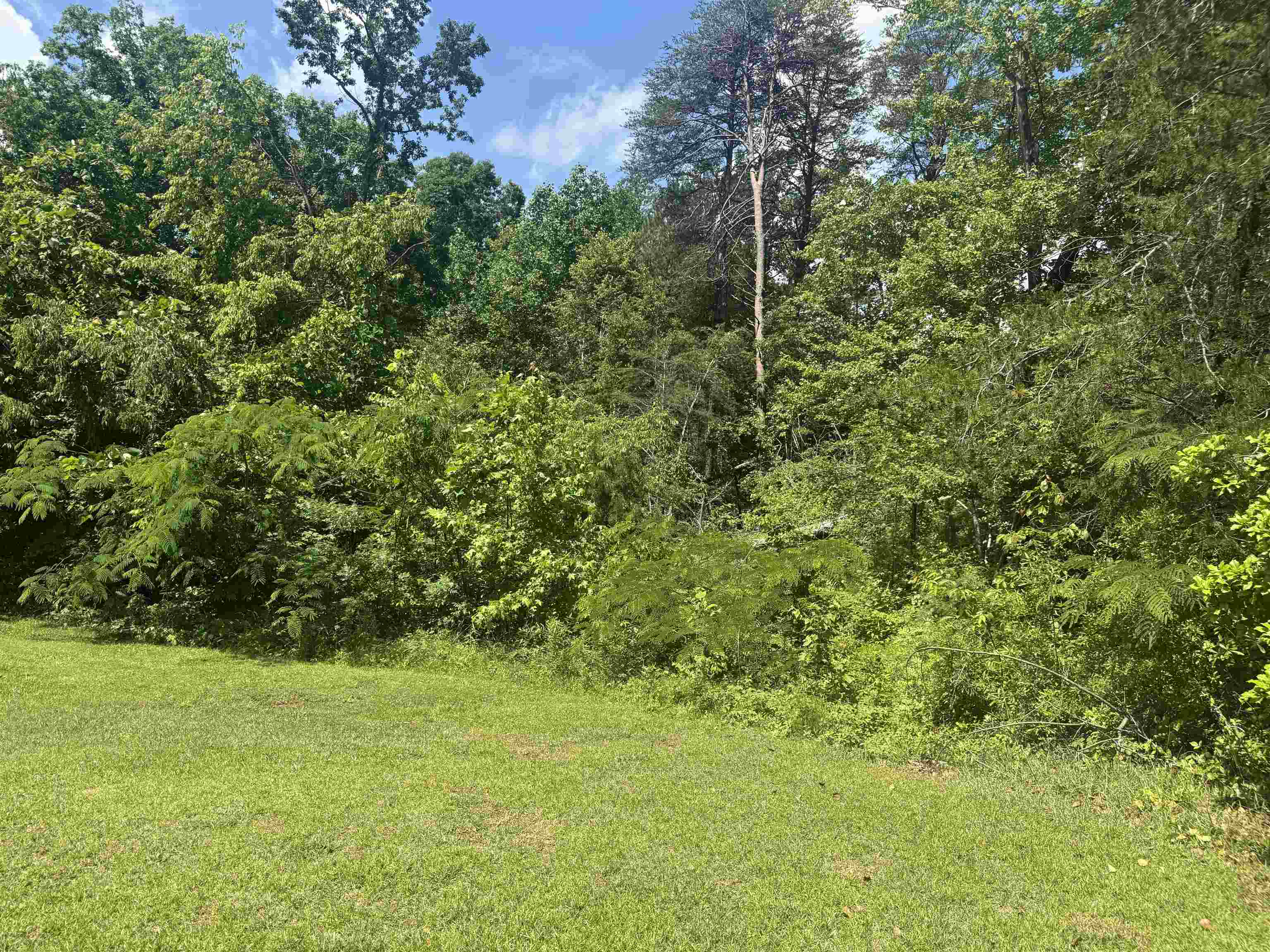 442 Gibbons Road Blacksburg, SC 29702 - Photo 13 of 18