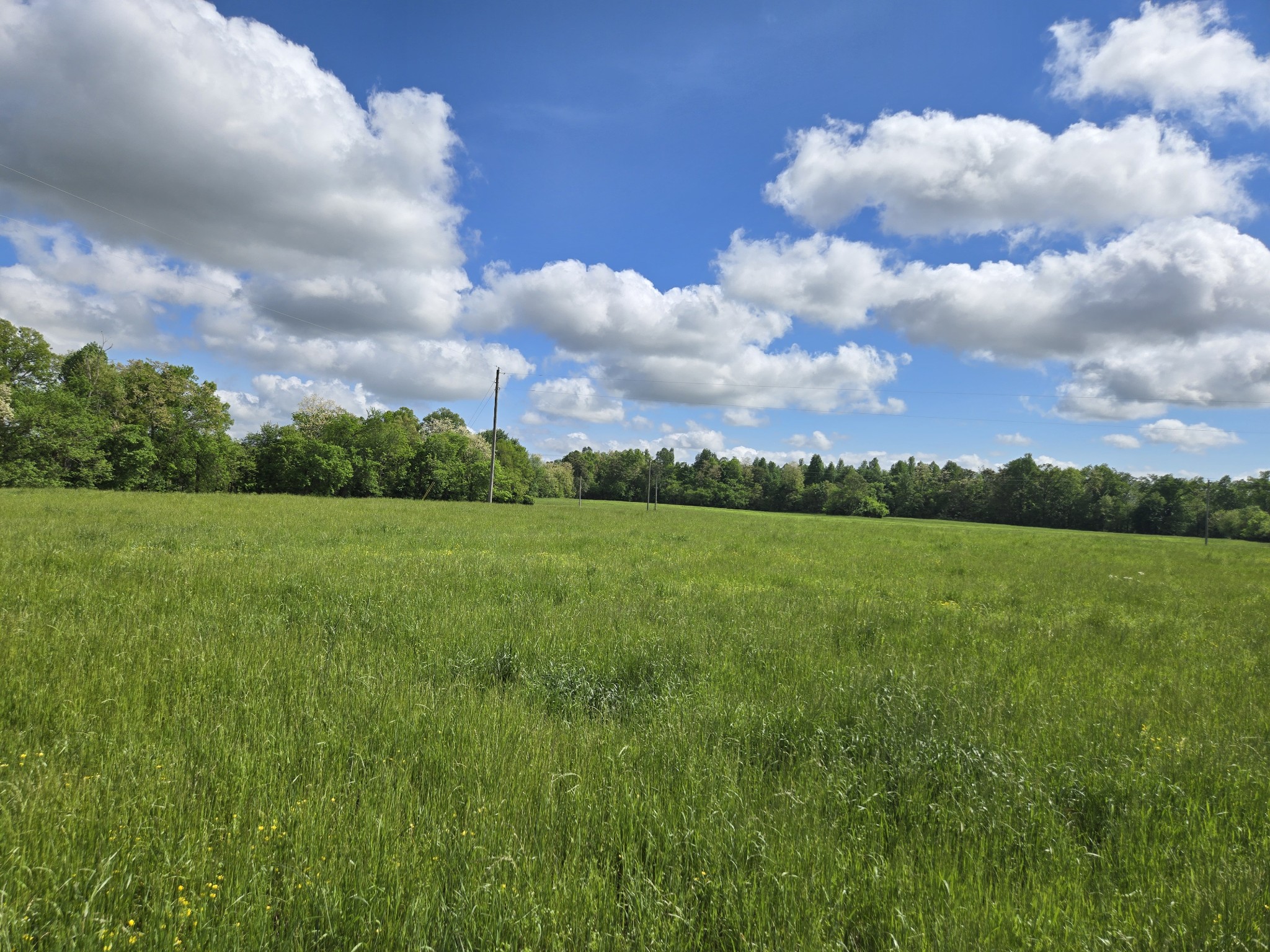 6 Dickens Hill Road Bradyville, TN 37026 - Photo 14 of 16