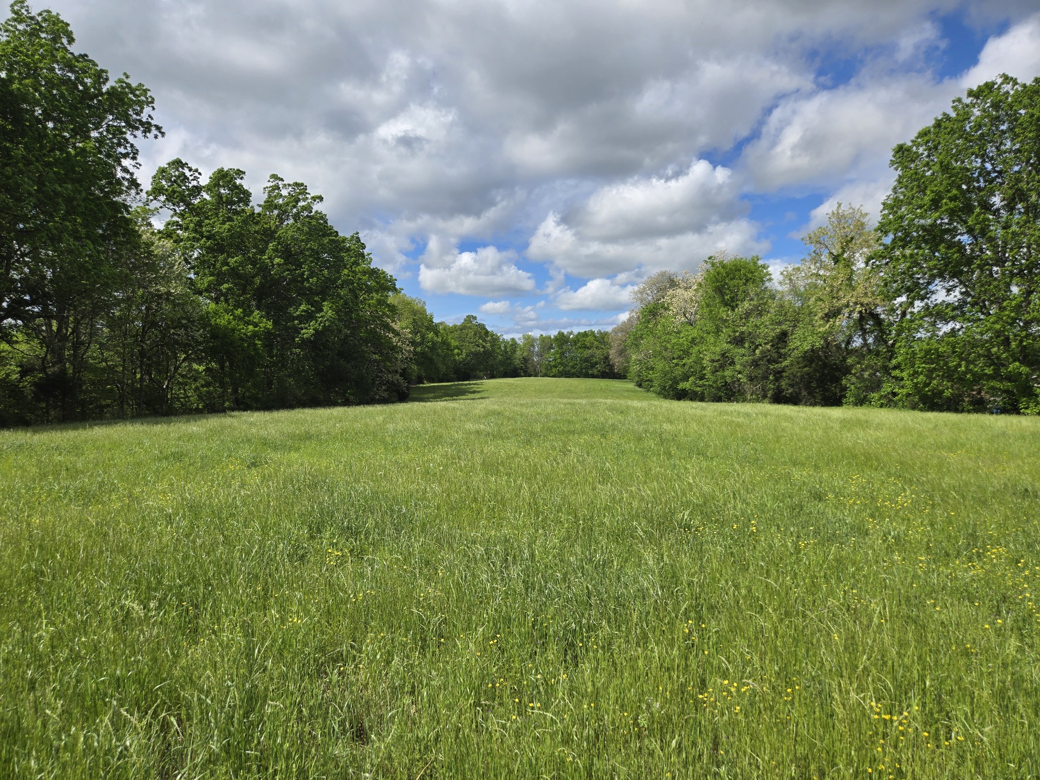 6 Dickens Hill Road Bradyville, TN 37026 - Photo 16 of 16