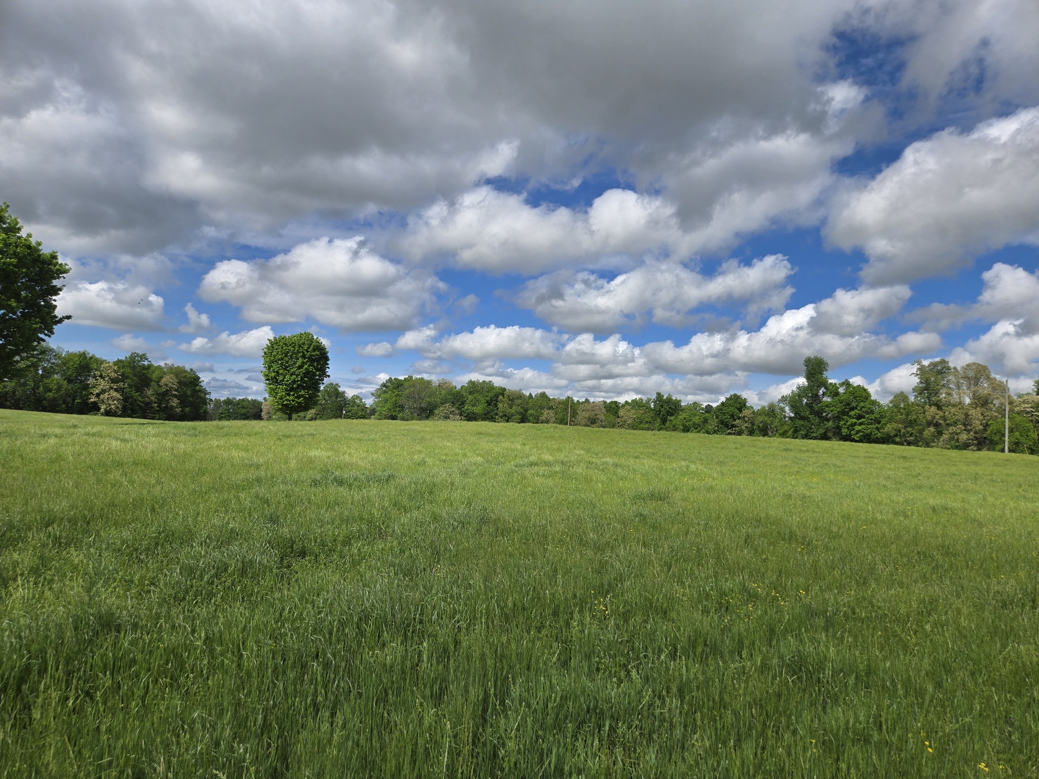 6 Dickens Hill Road Bradyville, TN 37026 - Photo 4 of 16
