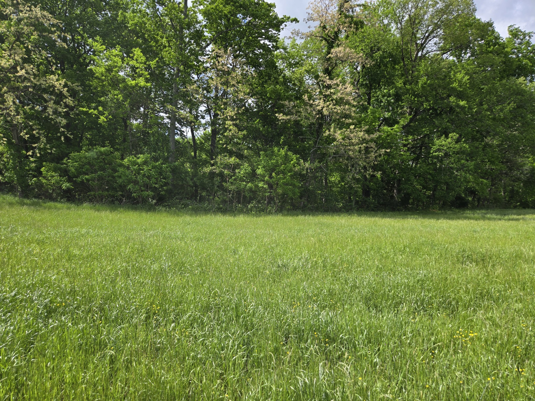 6 Dickens Hill Road Bradyville, TN 37026 - Photo 8 of 16