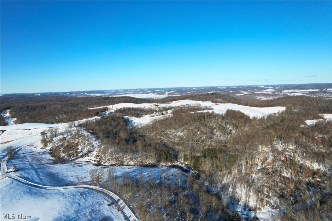 Fostor Road Dresden, OH 43821 - Photo 4 of 25 Snowy aerial view featuring a forest view