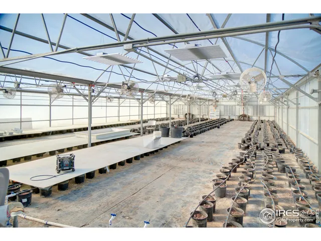 a view of a backyard of a house