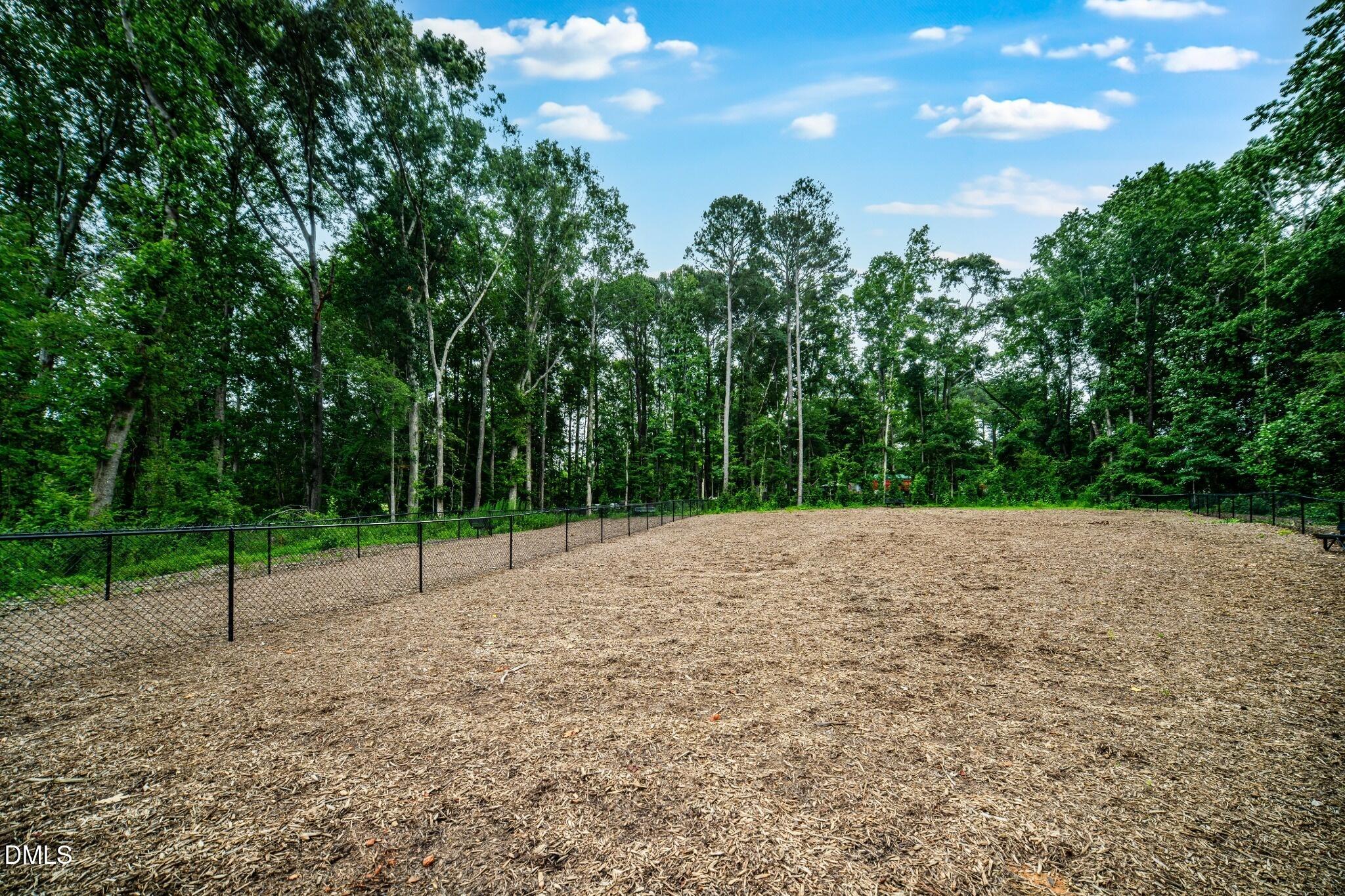 1004 Red Finch Way Angier, NC 27501 - Photo 32 of 42 a view of a backyard