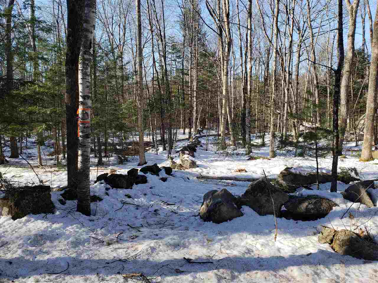 0 Elm Hill Road Sandwich, NH 03227 - Photo 11 of 14