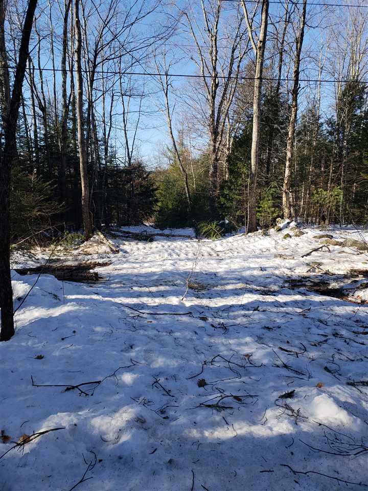 0 Elm Hill Road Sandwich, NH 03227 - Photo 12 of 14