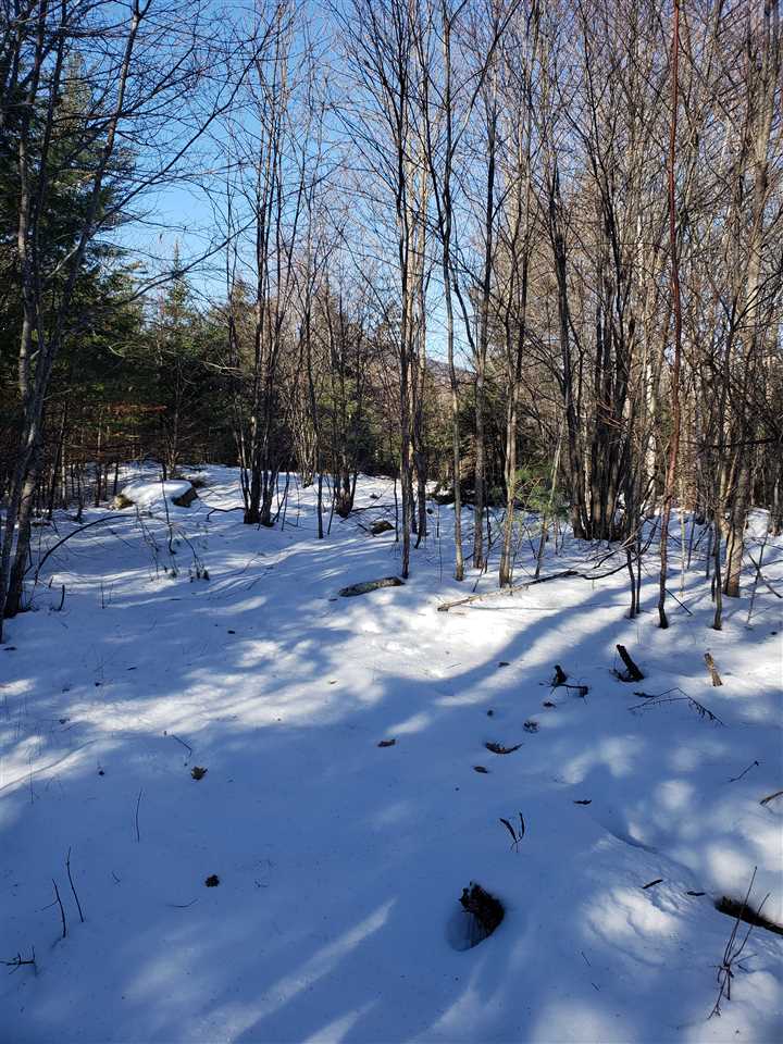 0 Elm Hill Road Sandwich, NH 03227 - Photo 14 of 14