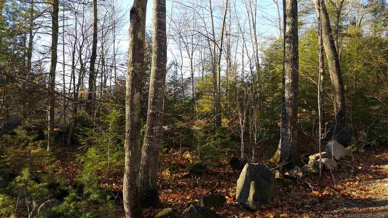 0 Elm Hill Road Sandwich, NH 03227 - Photo 3 of 14