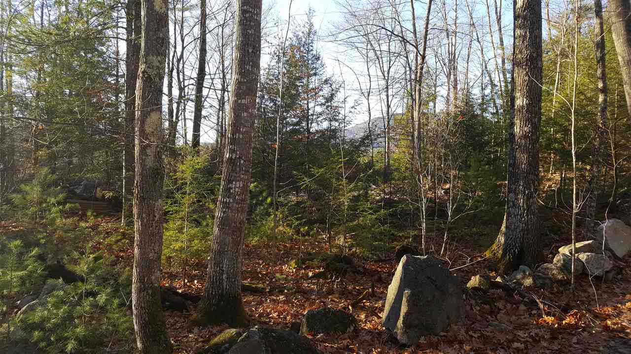 0 Elm Hill Road Sandwich, NH 03227 - Photo 6 of 14