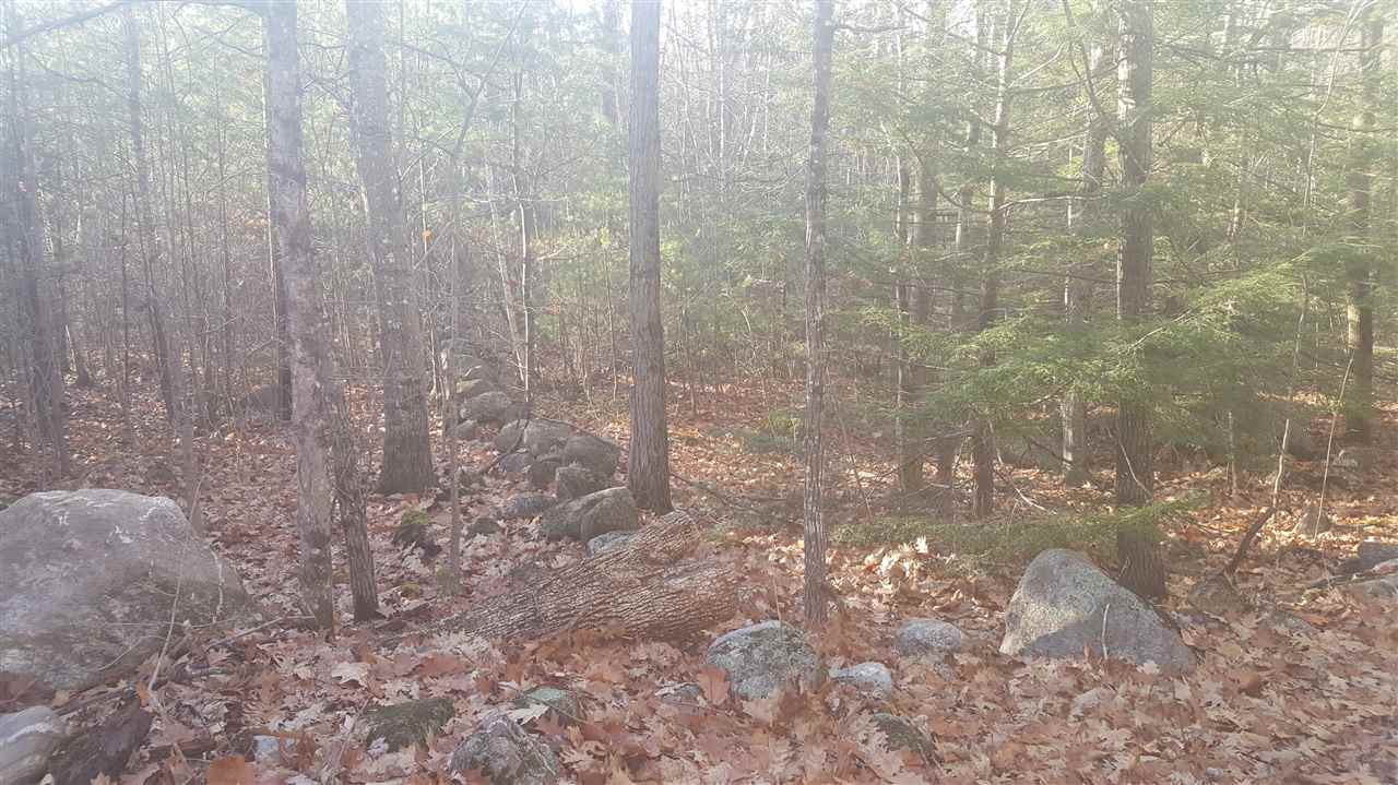 0 Elm Hill Road Sandwich, NH 03227 - Photo 7 of 14