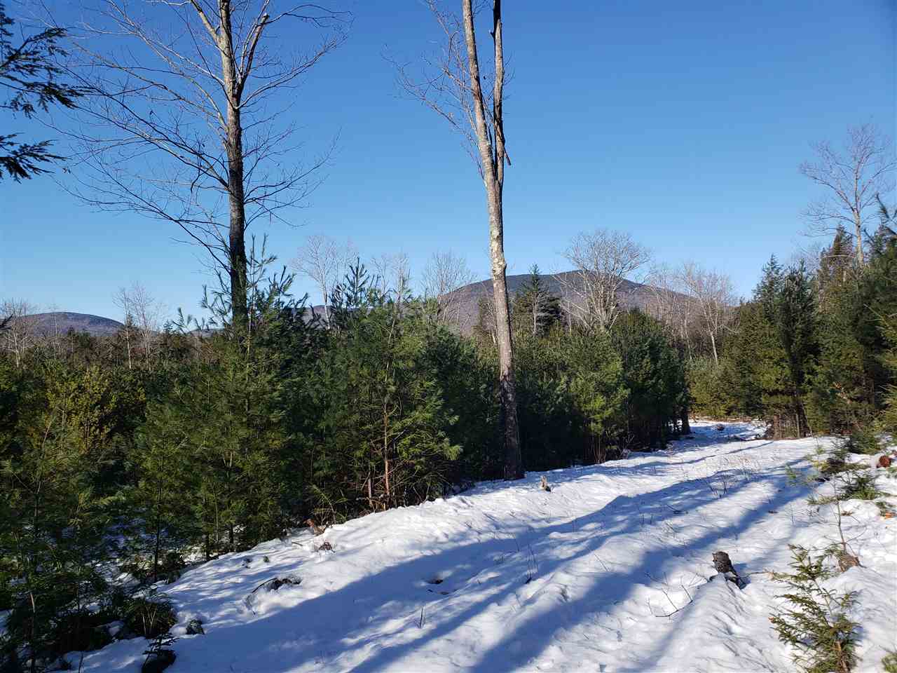 0 Elm Hill Road Sandwich, NH 03227 - Photo 10 of 14