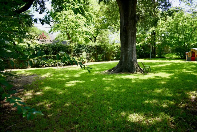 a view of a lush green space
