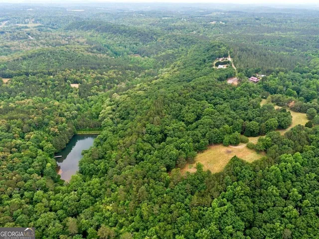 a view of a city with lush green forest