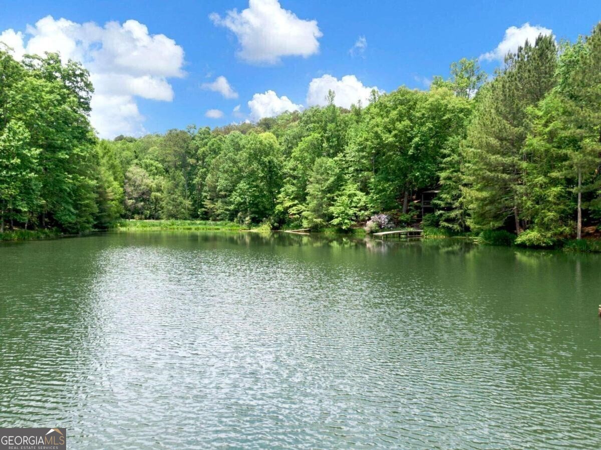 1402 Henderson Mountain Road Jasper, GA 30143 - Photo 55 of 76