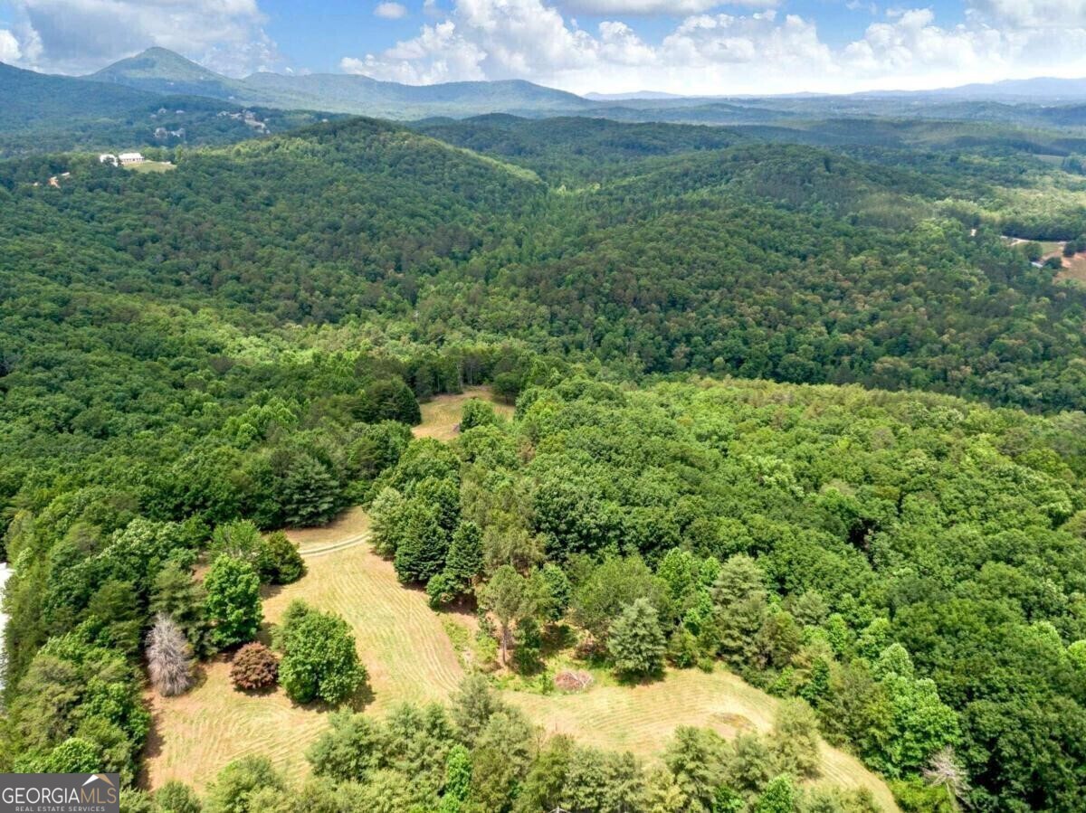 1402 Henderson Mountain Road Jasper, GA 30143 - Photo 62 of 76 a view of a lush green outdoor space with a lake view
