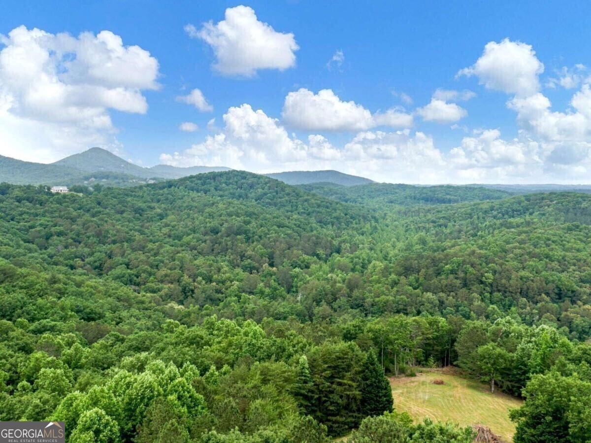 1402 Henderson Mountain Road Jasper, GA 30143 - Photo 64 of 76