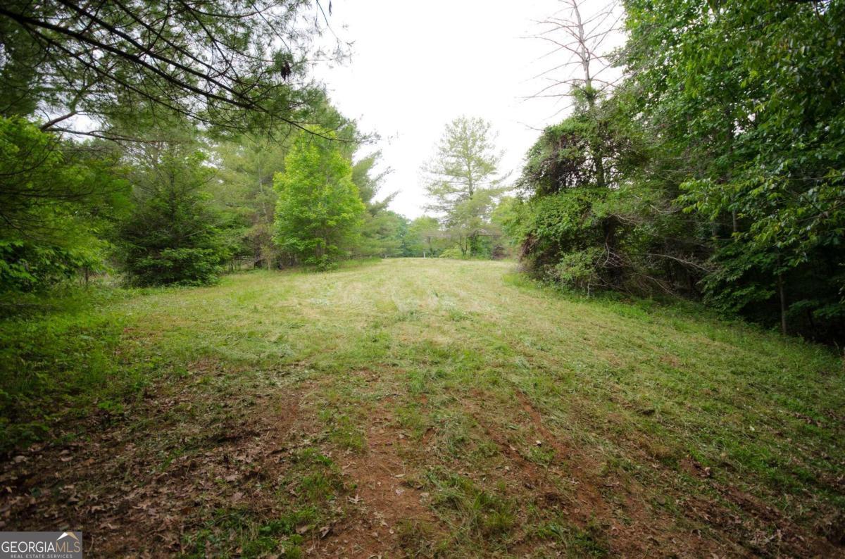 1402 Henderson Mountain Road Jasper, GA 30143 - Photo 66 of 76 a view of an outdoor space and a yard