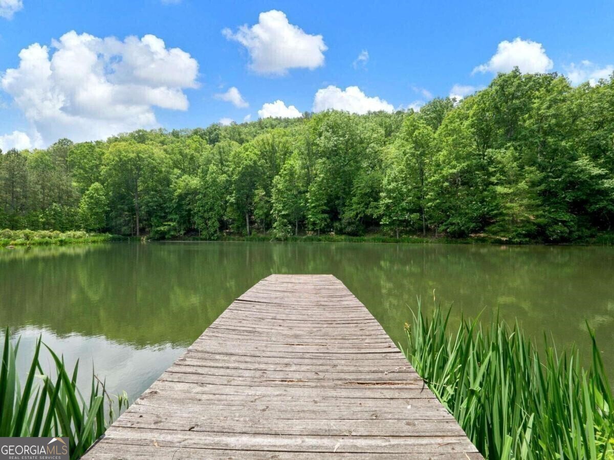 1402 Henderson Mountain Road Jasper, GA 30143 - Photo 7 of 76 a view of a lake with a large trees