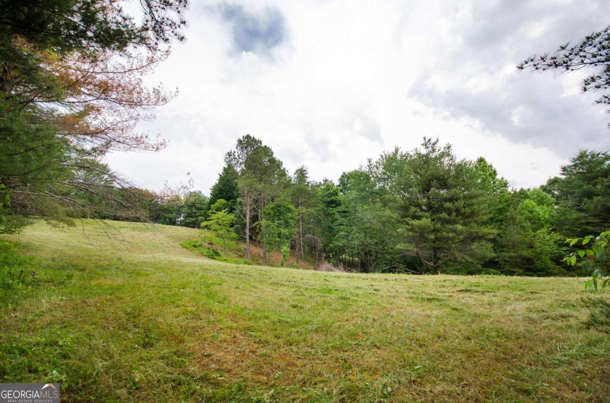 1402 Henderson Mountain Road Jasper, GA 30143 - Photo 71 of 76 a view of outdoor space and yard