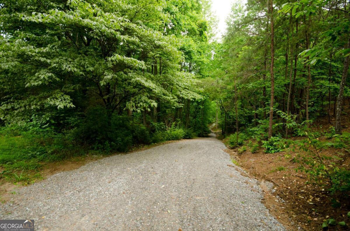 1402 Henderson Mountain Road Jasper, GA 30143 - Photo 75 of 76 a view of a dirt road with trees in the background