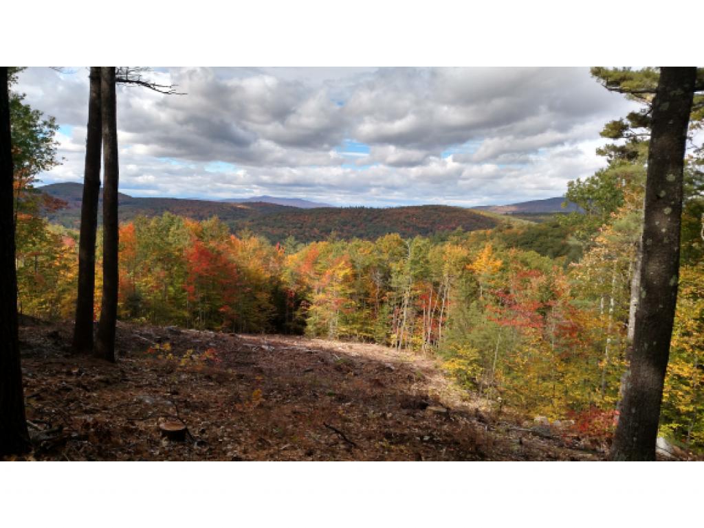 Lot 59 Lane Road Holderness, NH 03245 - Photo 1 of 20 Gallery Image 1