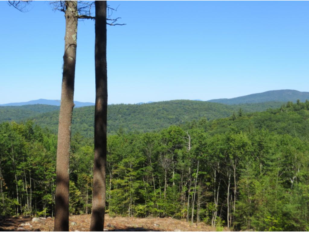 Lot 59 Lane Road Holderness, NH 03245 - Photo 20 of 20 Gallery Image 20