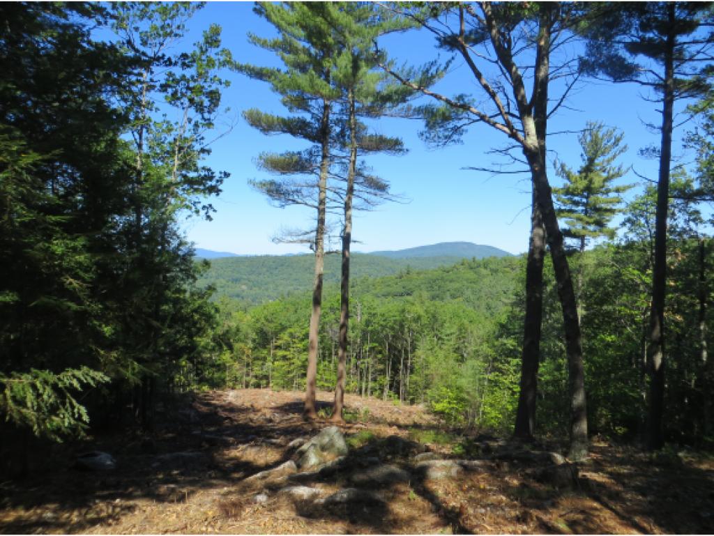 Lot 59 Lane Road Holderness, NH 03245 - Photo 5 of 20 Gallery Image 5