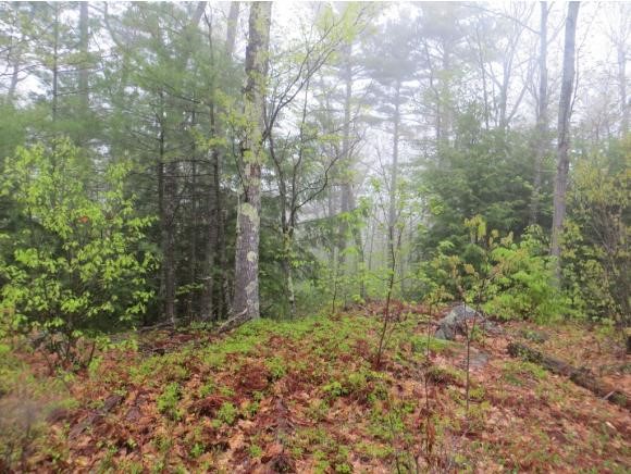 Lot 59 Lane Road Holderness, NH 03245 - Photo 8 of 20 Gallery Image 8