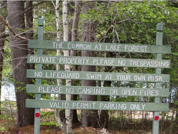 Lot 59 Lane Road Holderness, NH 03245 - Photo 9 of 20 Gallery Image 9