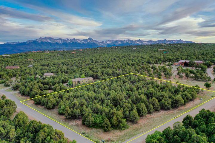 400 Oak Road Ridgway, CO 81432 - Photo 1 of 8 Lot Lines