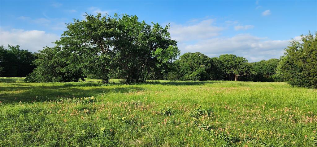 0 Turner Road Cross Roads, TX 76227 - Photo 11 of 18 a view of a garden and basketball court