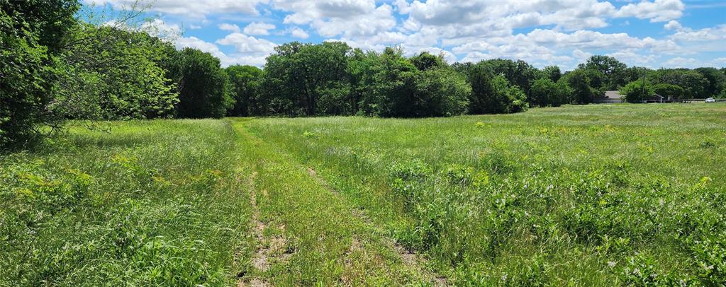 0 Turner Road Cross Roads, TX 76227 - Photo 12 of 18 a view of green field with trees in the background