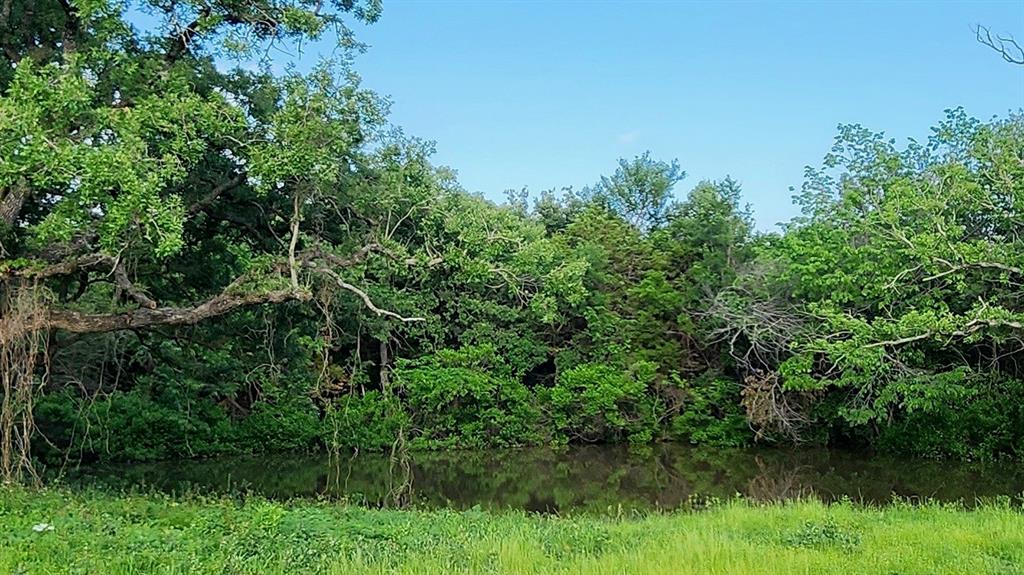 0 Turner Road Cross Roads, TX 76227 - Photo 13 of 18 a view of a lush green forest with lots of trees
