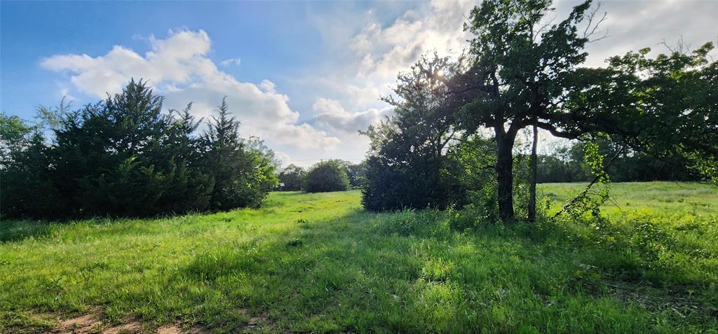 0 Turner Road Cross Roads, TX 76227 - Photo 15 of 18 a view of garden with trees