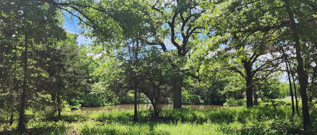 0 Turner Road Cross Roads, TX 76227 - Photo 17 of 18 a view of backyard with green space