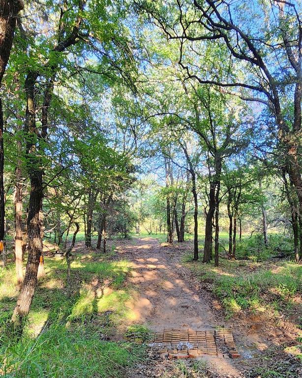 0 Turner Road Cross Roads, TX 76227 - Photo 8 of 18 a view of backyard with tree