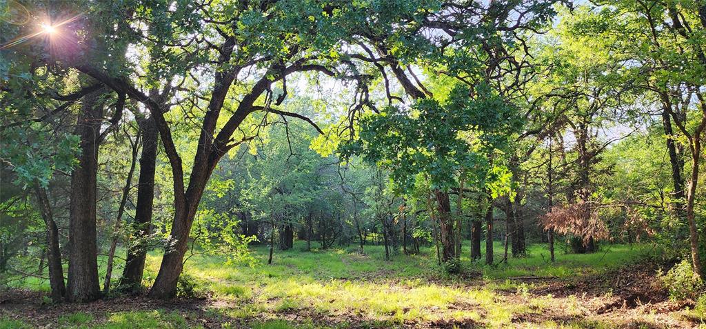 0 Turner Road Cross Roads, TX 76227 - Photo 9 of 18 a backyard of a house with lots of green space