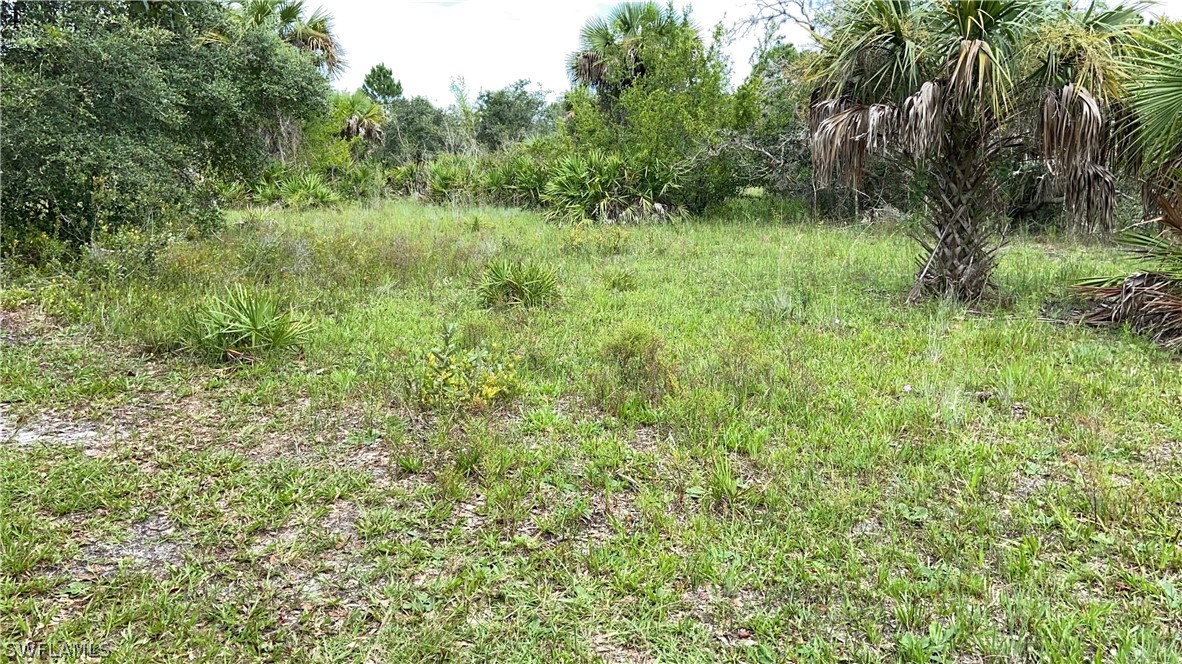49353 Bermont Road Punta Gorda, FL 33982 - Photo 5 of 19 Gallery Image 5