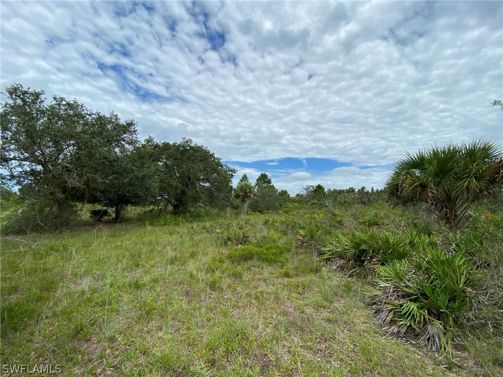 49353 Bermont Road Punta Gorda, FL 33982 - Photo 6 of 19 Gallery Image 6