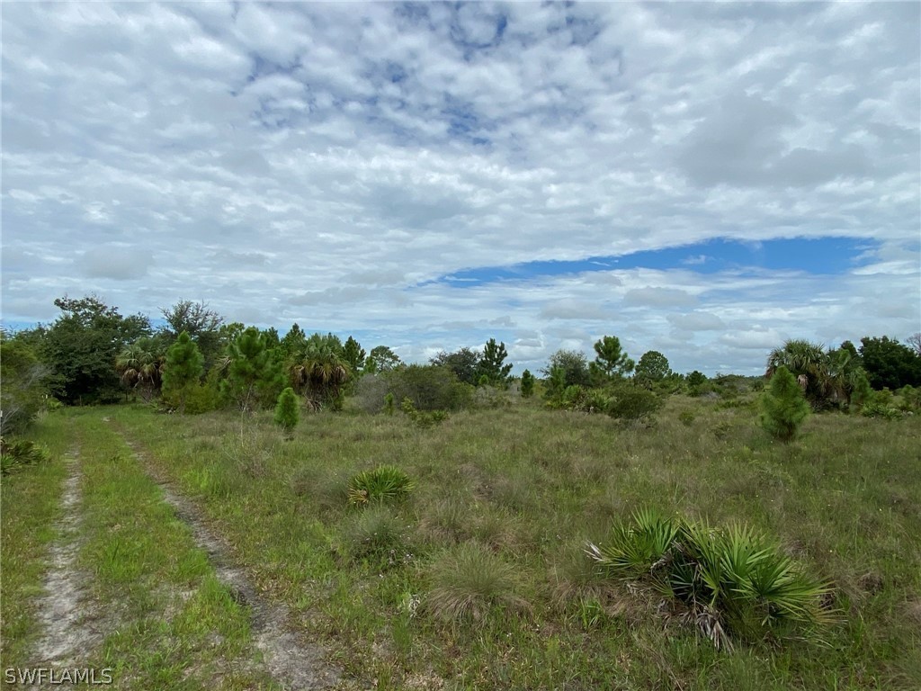 49353 Bermont Road Punta Gorda, FL 33982 - Photo 8 of 19 Gallery Image 8