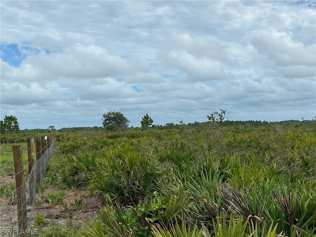 49353 Bermont Road Punta Gorda, FL 33982 - Photo 9 of 19 Gallery Image 9