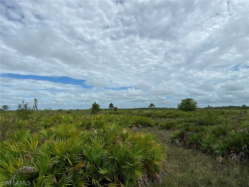 49353 Bermont Road Punta Gorda, FL 33982 - Photo 10 of 19 Gallery Image 10